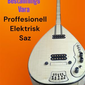 Proffesionell Elektrisk Saz ( Beställnings vara )